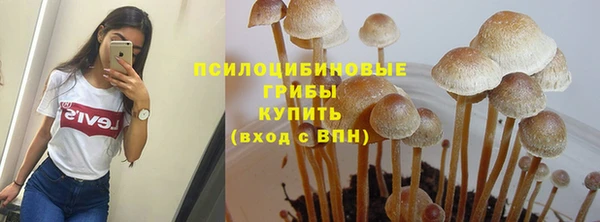 экстази Горняк