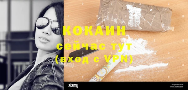 экстази Горняк